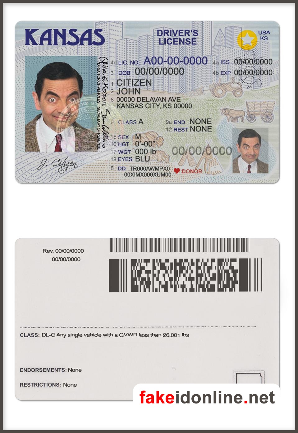 Kansas Driver License New 1200dpi